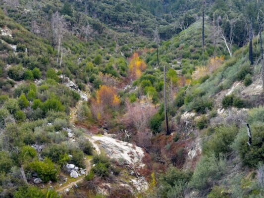 Some pops of fall color remain gabrielino trail