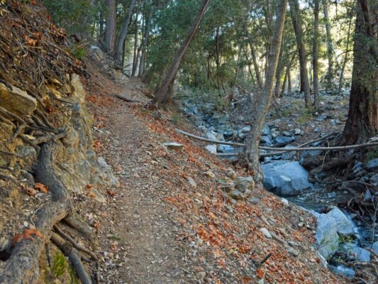 The trail climbs up toward Red Box gabrielino trail