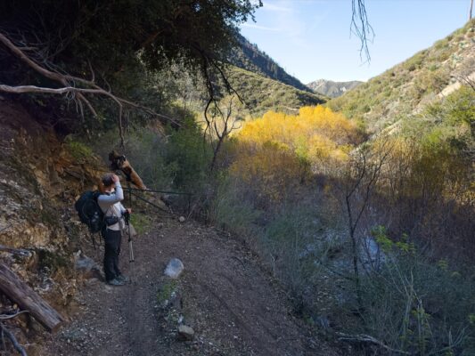 Shannon looks out over colorful trees near the Switzer Falls picnic area gabrielino trail