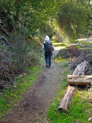 We've had a lot of rain this winter and everything is bright green gabrielino trail