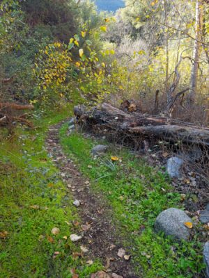 More green grass and colorful leaves gabrielino trail