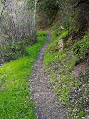 Another aesthetic curve gabrielino trail