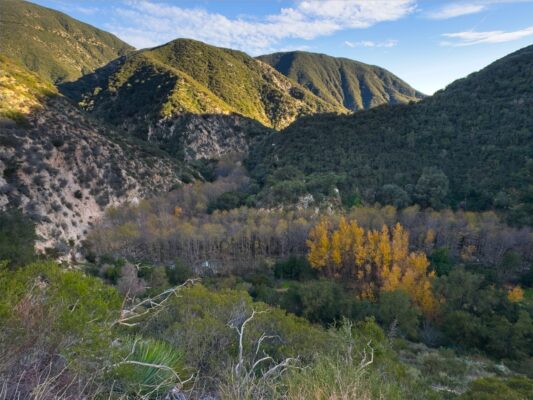 Looking down at the Arroyo Seco Canyon gabrielino trail