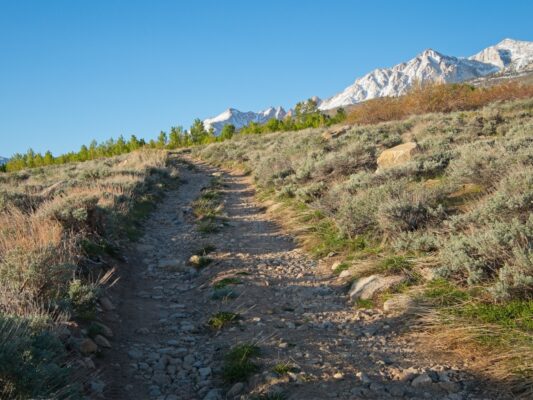 We follow the road up to the trailhead basin mountain