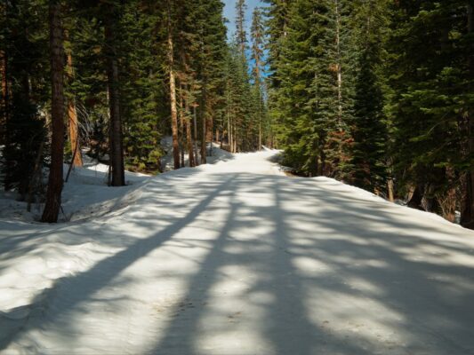Long shadows on the Glacier Point Road glacier point road