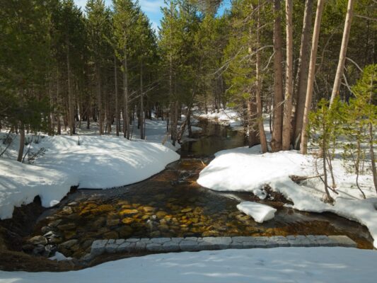 Bridalveil Creek runs under Glacier Point Road glacier point road