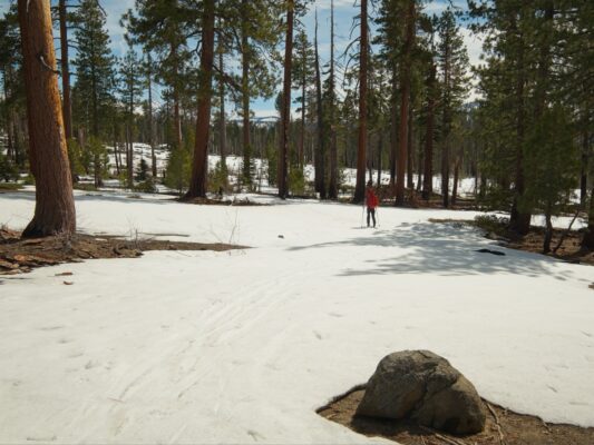 We thread our way through the trees ostrander ski hut