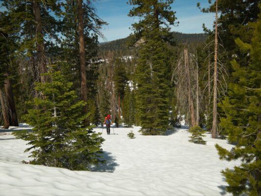 Once we begin climbing Horizon Ridge, the snow cover becomes more significant ostrander ski hut