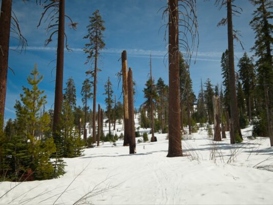 A flatter section on Horizon Ridge ostrander ski hut