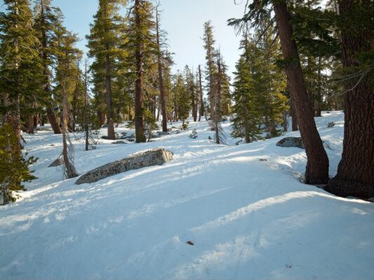 Early morning light and icy snow greet us as we leave Ostrander Ski Hut ostrander ski hut