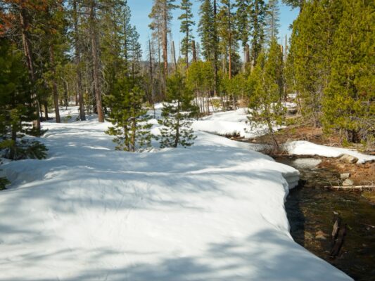 There's even less snow on the ground now than when we came out - we hunt around for bits of snow follow ostrander ski hut