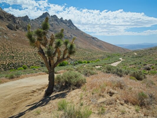 We start our hike in Indian Wells Canyon where the road becomes too rutted out for driving indian wells canyon