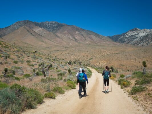 We hike up the road toward Owens Peak, the granite mountain on the right owens peak