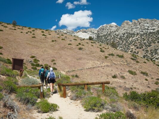 After several miles of hiking, we reach an actual trail! owens peak