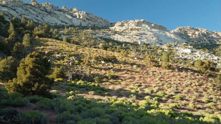 Some more lovely evening light streaming across the slopes of Owens Peak owens peak