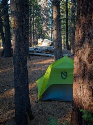 I sent up my tent in a wind-sheltered pine grove domeland wilderness