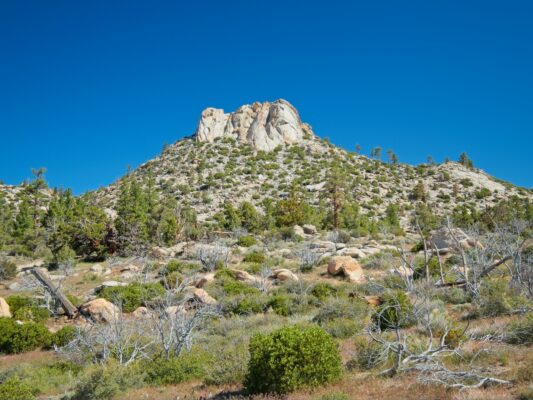 I stroll across the plateau toward Rockhouse Peak domeland wilderness