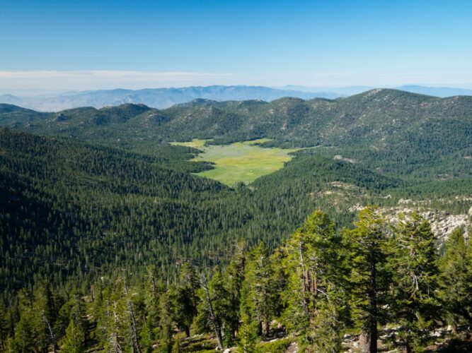 The aptly named "Big Meadow" big meadow
