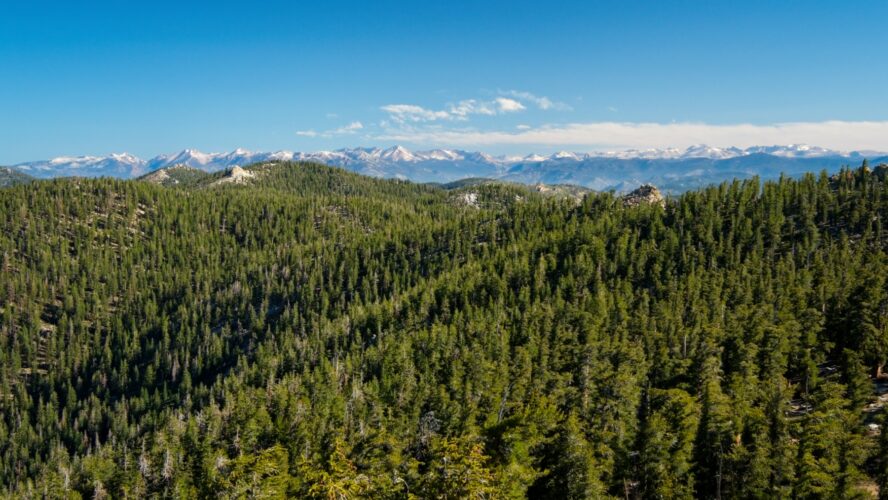 The snow-capped Sierra Nevada Mountains span the northern skyline sierra nevada mountains
